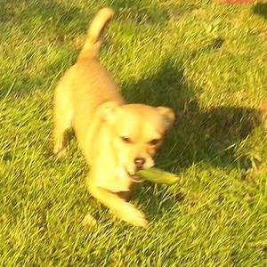 Meet your Posher, Jerry